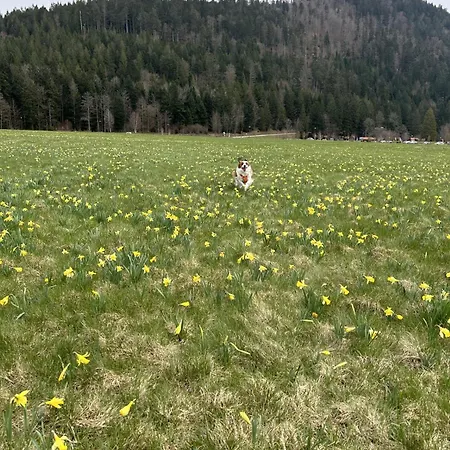 فندق مبيت وإفطار Escargot De Neige