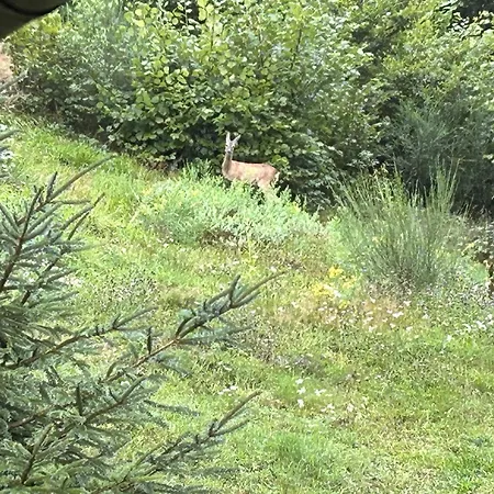 Escargot De Neige Couette-café 3*