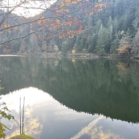Escargot De Neige 3* La Bresse