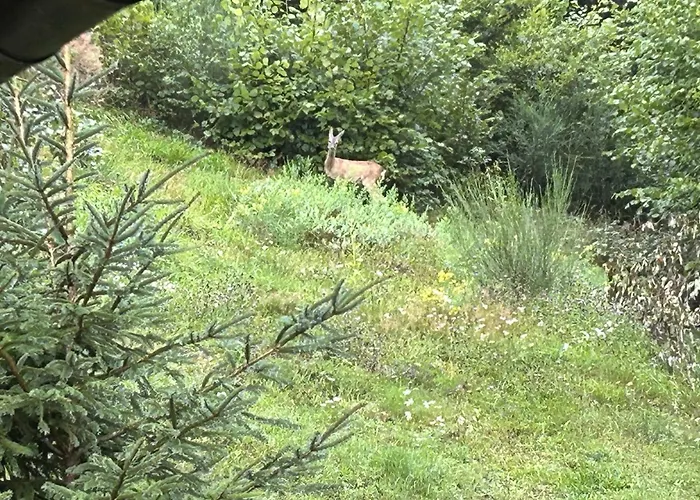 Escargot De Neige Bed & Breakfast 3*