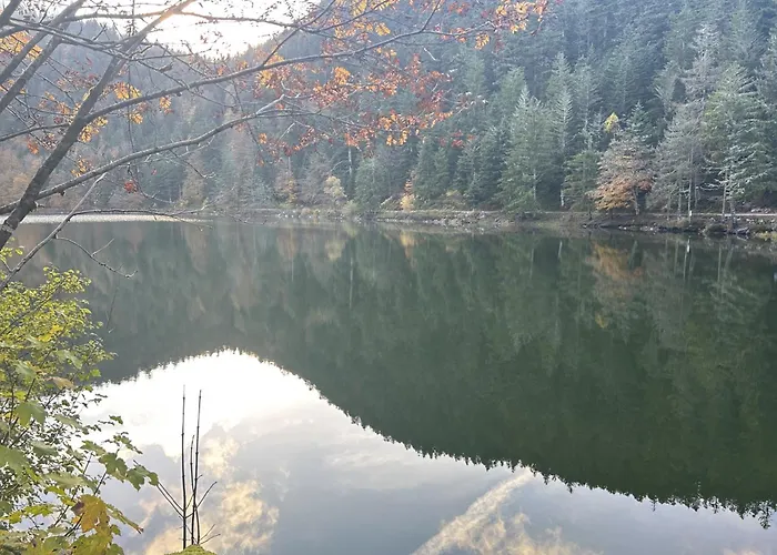 Escargot De Neige 3* La Bresse